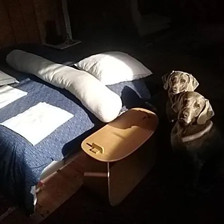 Casa di campagna Chantier D'art Contemporain La Serverie