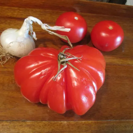 Chantier D'art Contemporain La Serverie Saint-Remy (Calvados)