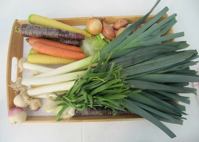 Chantier D'art Contemporain La Serverie *