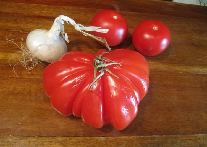 Chantier D'art Contemporain La Serverie Saint-Remy (Calvados)